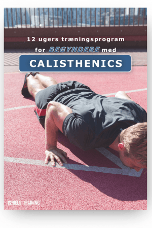 12 ugers træningsprogram for begyndere med calisthenics