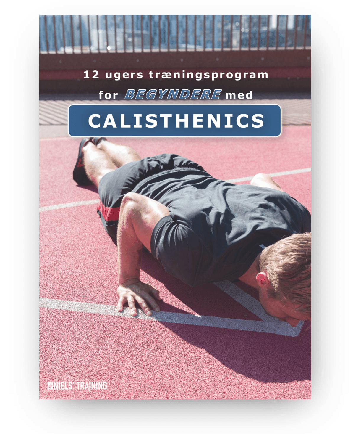 12 ugers træningsprogram for begyndere med calisthenics